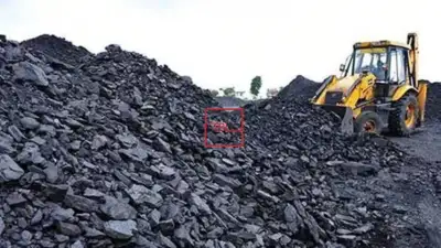 In 2024, the coal demand is expected to stay at record highs