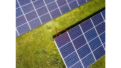 More than 1GW of solar modules are transported by LONGi to the Middle East distribution market