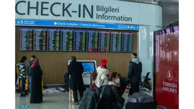 In 2024, a Turkish travel firm will resume offering excursions to Syria under regime rule