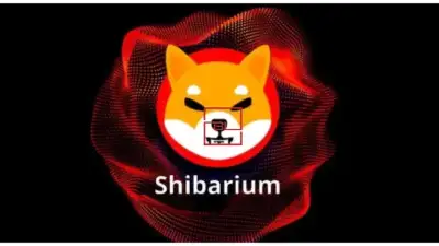 Nightmare of the Shibarium Launch: $1.8 Million Stuck in Pending Transactions