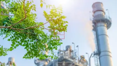 Sustainable Petrochemical Production: Paving the Way for a Responsible Industry