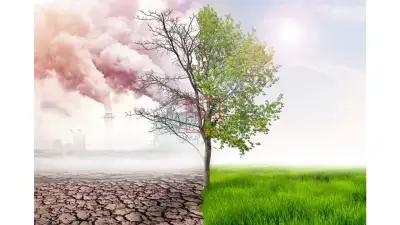 COP28 Climate Goals To Be Swiftly Achieved By World Future Energy Summit