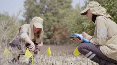 Dendra Systems Gets Funding Of $15.76M For AI Eco Platform