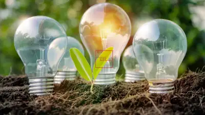 Social, Geopolitical & Economic Benefits of Renewable Energy in the Middle East